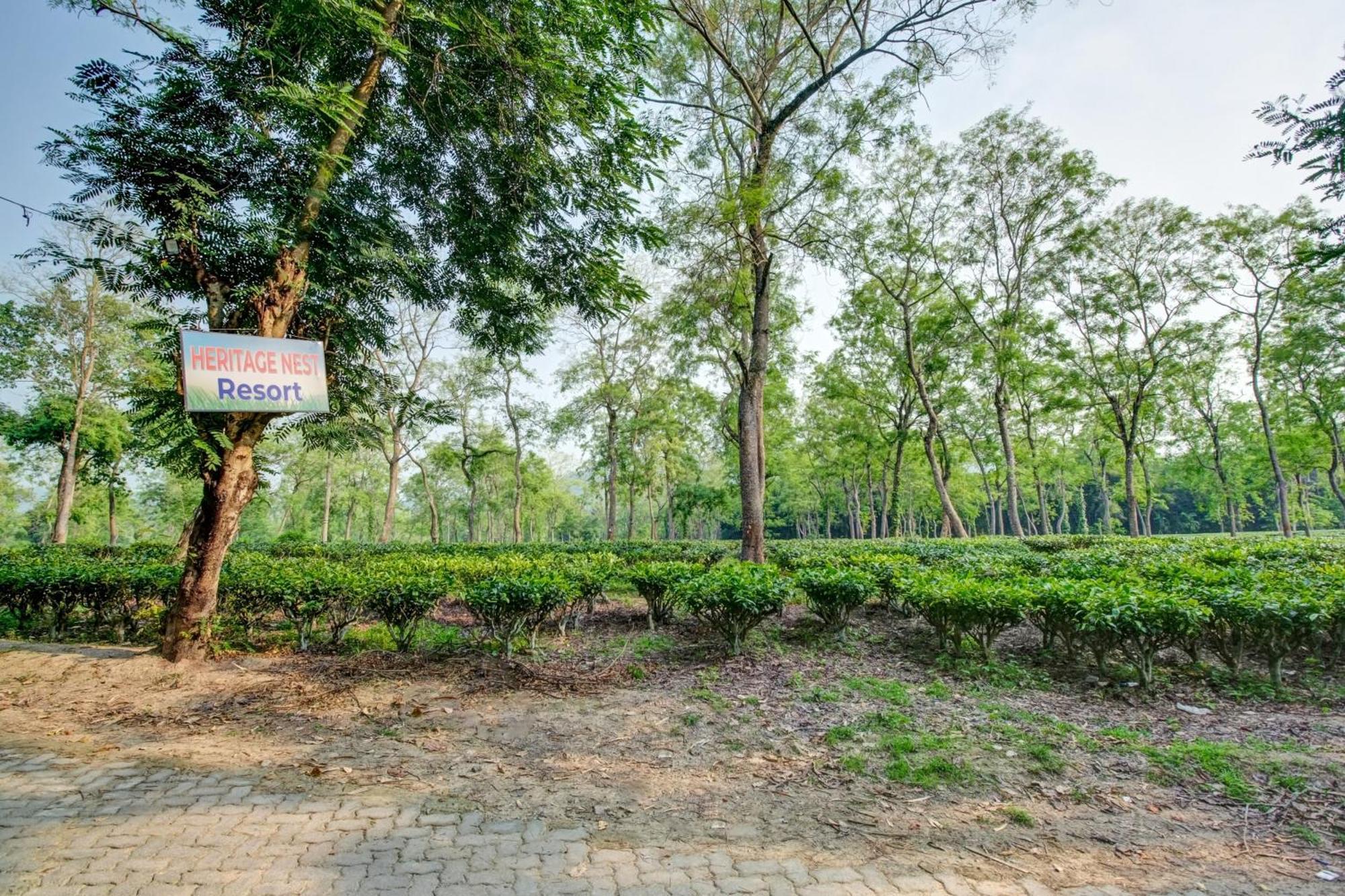 Hotel O Heritage Nest Resort Kazirnga Kāziranga Extérieur photo